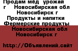 Продам мёд, урожай 2017г. - Новосибирская обл., Новосибирск г. Продукты и напитки » Фермерские продукты   . Новосибирская обл.,Новосибирск г.